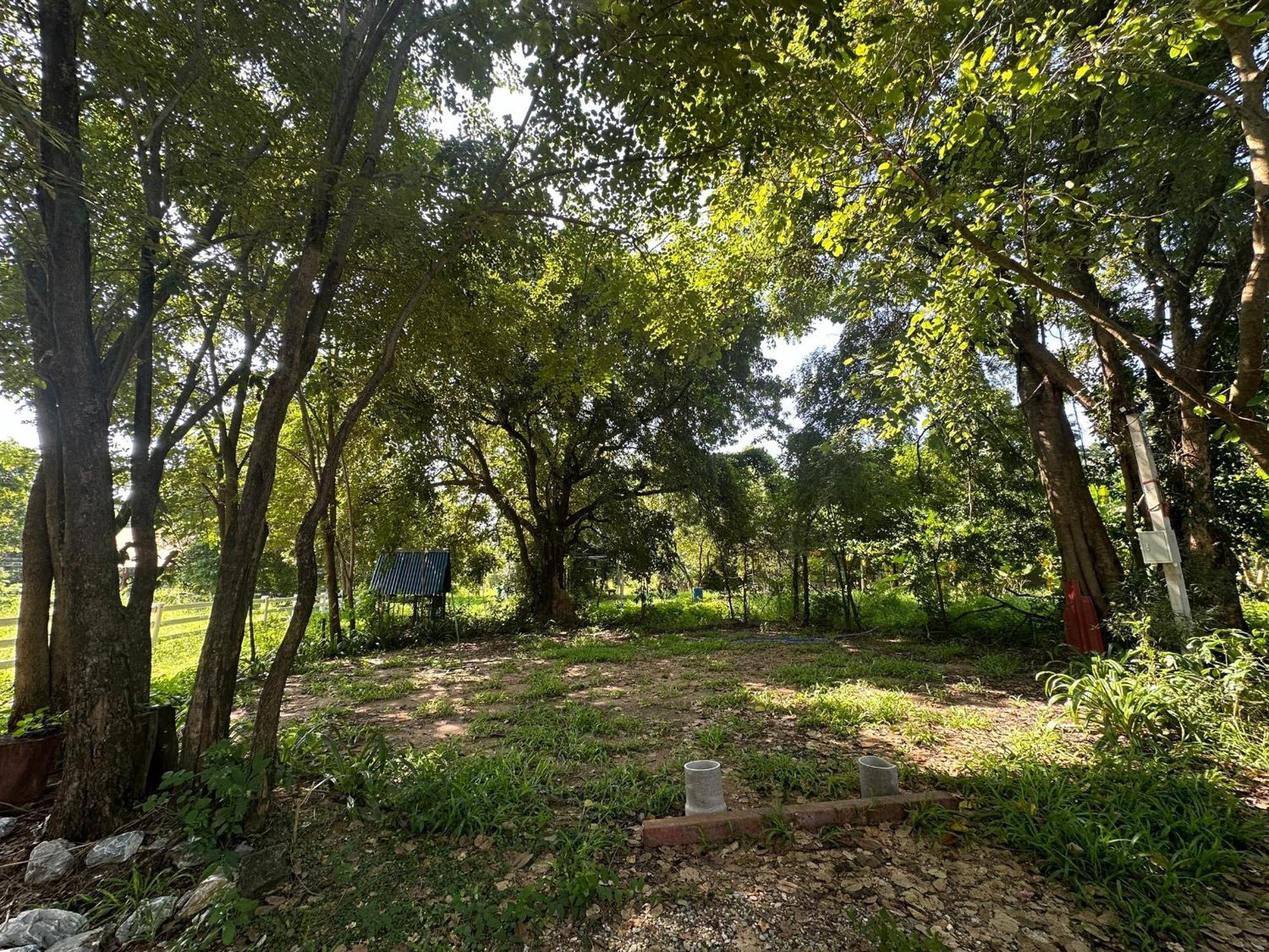 SukhothaiNeeDee FarmCafe Buitenkant foto